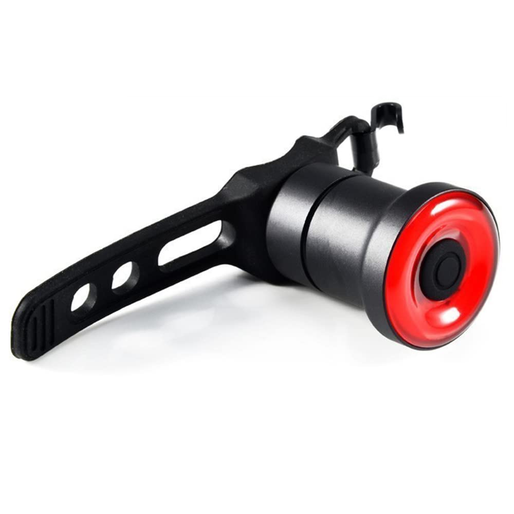 Luce Posteriore a LED per Bicicletta, Torcia per Avvio/Arresto Automatico, sensore di frenata, Impermeabile IPX6, Ricarica USB, Luce Posteriore