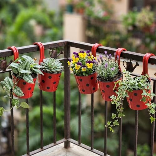 Image of Premium Hook Planter with Inner Pot | Polka Dot Hanging Planter for Balcony & Railings | Sturdy Plastic | Built-in Drainage | Vibrant Colours | Indoor & Outdoor Gardening (5, Red)