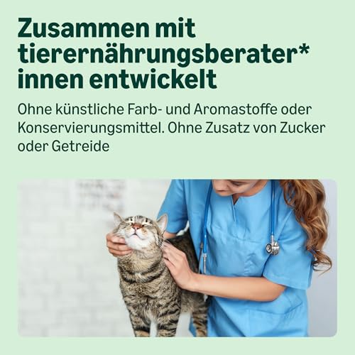 Lifelong by Amazon Katzenfutter, nass, Pastete mit Lachs, 100 g, 16 Stück