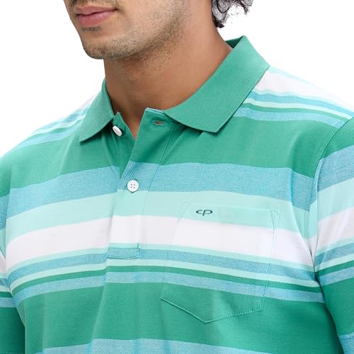 Image of Colorplus Men's Classic Fit Stripe Pattern Pure Cotton Half Sleeve Polo Neck Casual T-Shirt