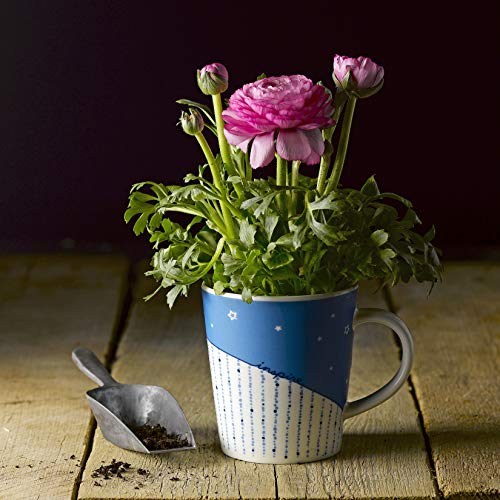 Royal Doulton Ellen Degeneres Mug Inspire, Multi, Porcelain, 475Ml #TOP4