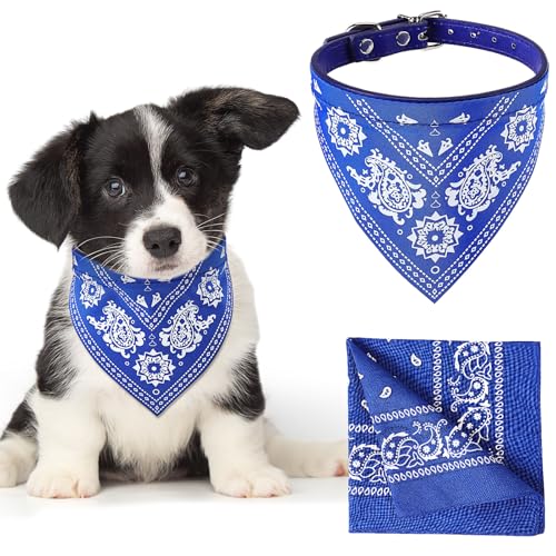 Image of Chicingyou Cat Dog Bandana Collar & Owner Matching Paisley Pattern Bandana Women Headband Square Scarf Headwear Puppy Scarf for Small Dog Adjustable Cat Collar Triangle Neckerchief Handkerchief(Blue)