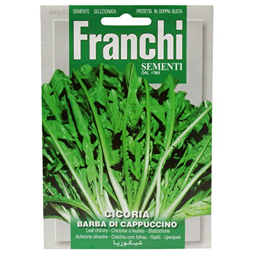 Franchi Chicory Barba Di Cappuccino