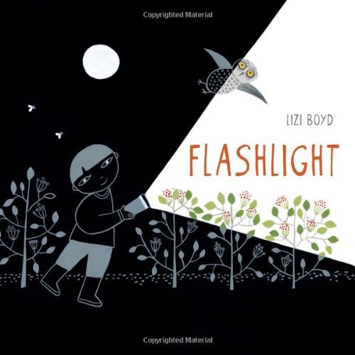 Flashlight by Boyd, Lizi (2014) Hardcover Flashlight by Boyd, Lizi (2014) Hardcover