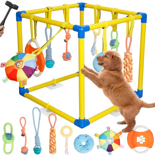 TOOGE Upgraded Puppy Play Gym: Small Dog Puppy Jungle Gym Playground Adjustable Hanging Dogs Enrichment Chew Toys for Puppies 0-6 Months Training Activity Center for Interactive Teething Stimulation