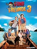  Fünf Freunde 3