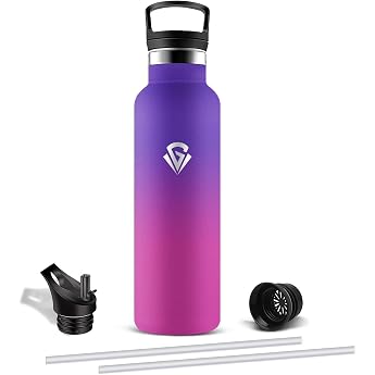 Stainless Steel Drinking Bottle 750 ml BPA-Free Thermos Flask with Straw Cold and Warm Insulated Water Bottle Leak-Proof Drinking Bottle Carbonated Drink Suitable for Office Travel