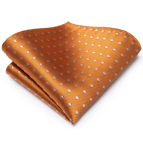 Image of Dubulle Mens Paisley Striped Tie Woven Necktie for Men and Handkerchief Cufflinks Set Wedding Formal Business