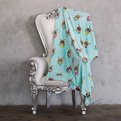 AVAFORT Velvet Plush Home Fleece Throw Blanket for Couch Sofa Bed, Warm Elegant