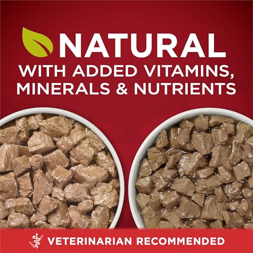 Image of Purina ONE True Instinct Tender Cuts in Gravy with Real Chicken and Duck, with Real Beef and Salmon High Protein Wet Dog Food Variety Pack - (Pack of 1) 13 oz. Cans