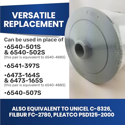 Filtre Spa SUNDANCE 6540-488 cartouche de rechange filtration eau - 6