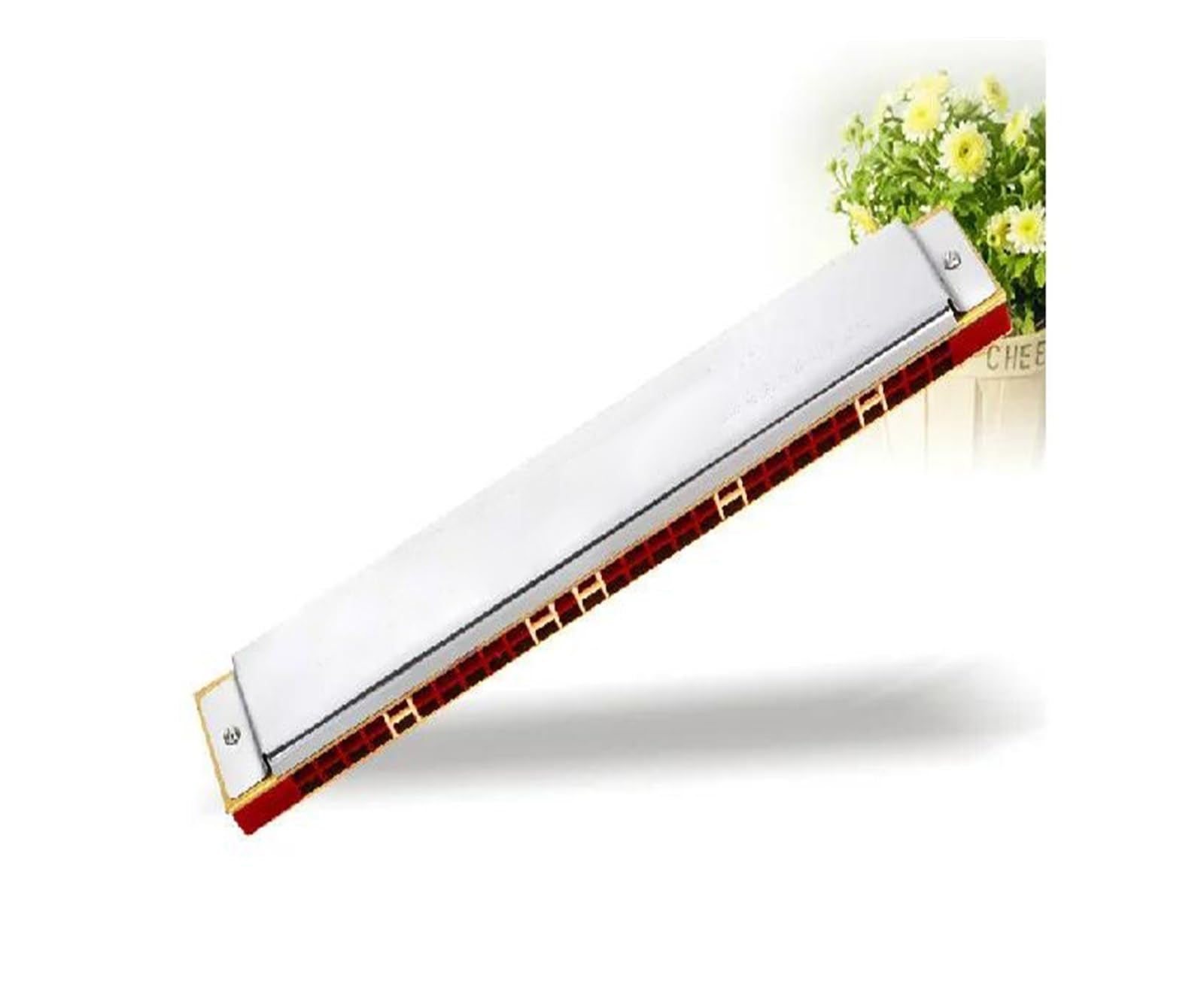 Armonica Armonica a bocca 28 fori tono do ampia estensione vocale strumenti musicali accentati armonica a bocca
