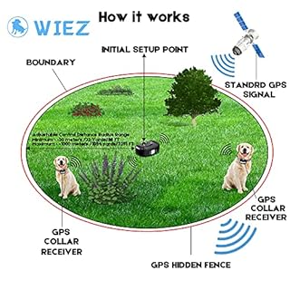 GPS Wireless Dog Fence, Electric Dog Fence with GPS, Range 98-3281 ft, Adjustable Warning Strength, Rechargeable, Pet Containment System, Harmless and Suitable for All Medium and Large Dogs(2 Collars)