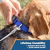 GoTags Personalized Dog Collar, Custom Embroidered Pet ID Dog Collar with Pet Name and Phone Number, Adjustable with Quick Release Snap Buckle