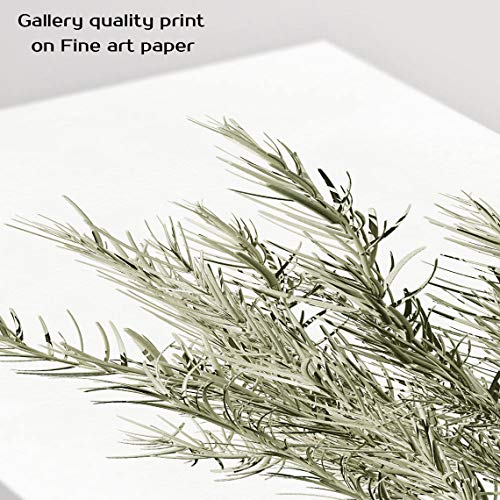 Botanical Plant Wall Art Prints, Cactus Wall Art, Minimalist Wall Art, Boho Wall Decor, Plant Wall Decor, Green Leaves Eucalyptus Pictures Posters, Bathroom Wall Decor, Kitchen Wall Decor (Set Of 6, 8X10In, Unframed) #TOP2