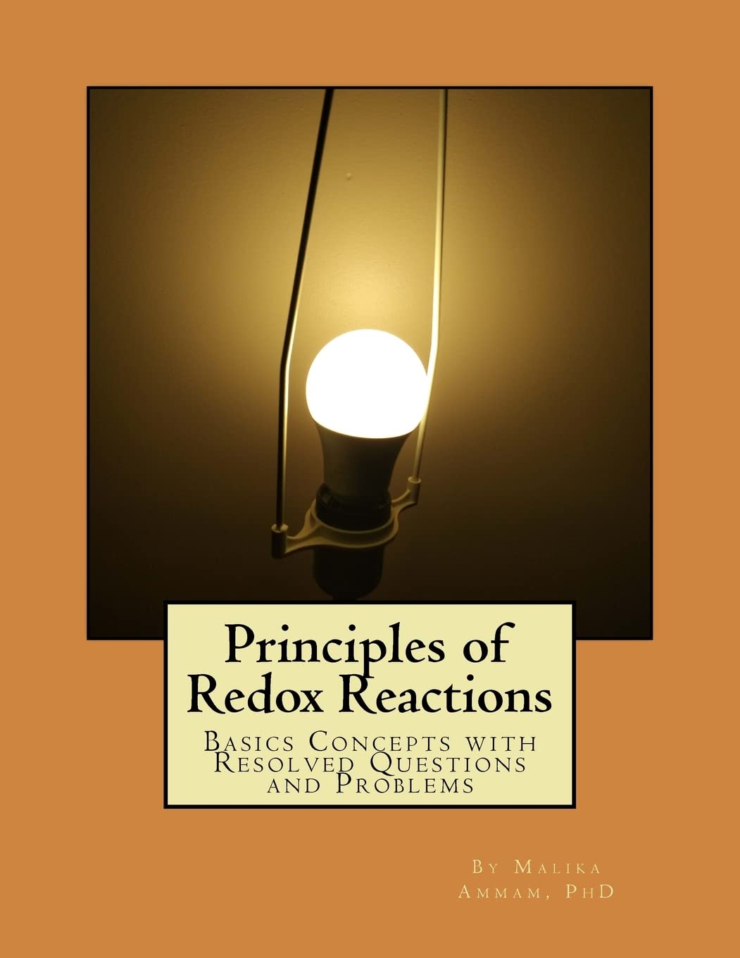 Principles of Redox Reactions: Basics Concepts with Resolved Questions and Problems (Section 3)