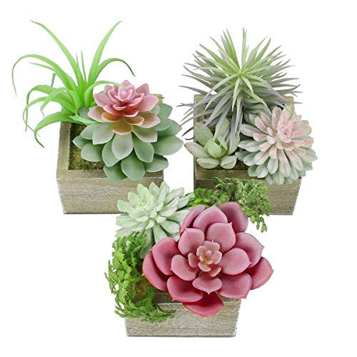Mingfuxin Artificial Succulents Plants, Mini Assorted Green Faux Succulents In Pots, Small Succulents Plants Artificial With Wood Potted For Home Office Living Room Table Desk Plants Decor, Set Of 3 #TOP1