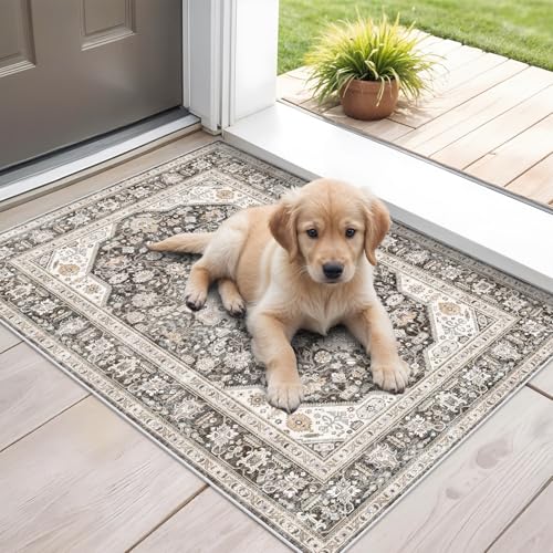 HILORUUG Washable Area Rug 2x3 - Entryway Living Room Large Indoor Rugs Soft Oriental Vintage Bedroom Rugs Non-Slip Backing Stain Resistant for Farmhouse Kitchen-2x3 Grey