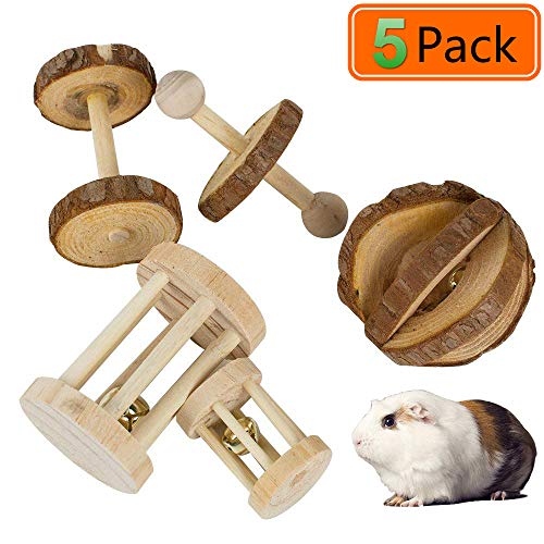 Why Do Guinea Pigs Fight 5 Easy Steps To Stop Them Fighting