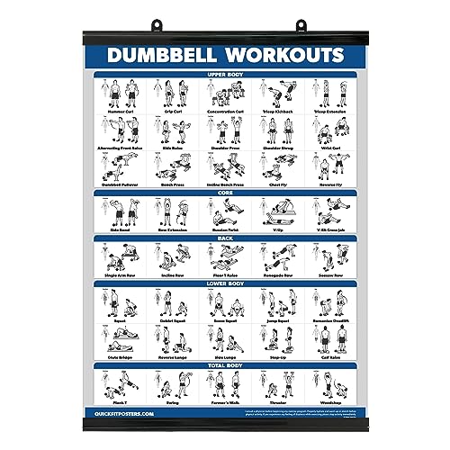 Übungsposter für Hanteltraining - inklusive Anleitung für Bodybuilding - Home Gym Chart - laminiert mit Kunststoffrahmen - 45,7 x 61 cm