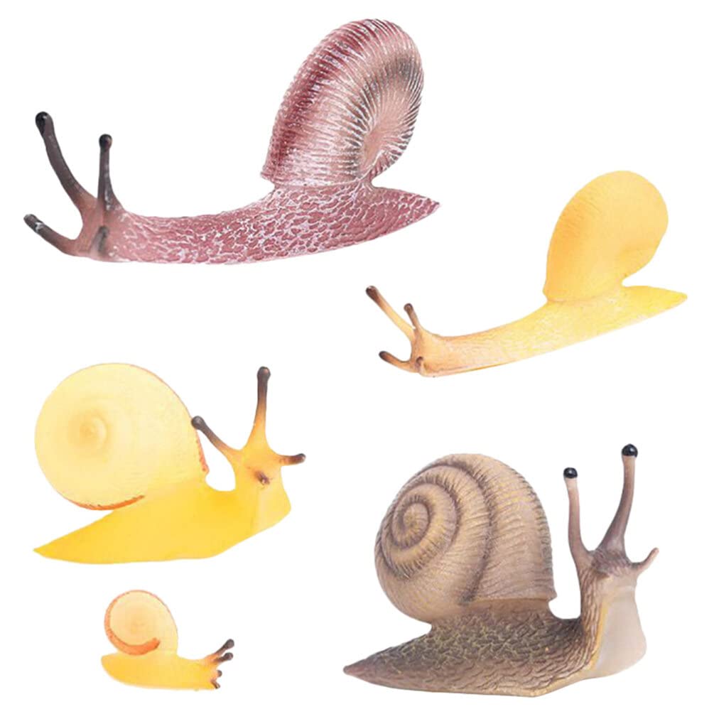 Alipis Realistic Snail Model Toy 5Pcs Set Simulation Snail Figures Educational Animal Figurines for Kids Fairy Garden Micro Landscape Decoration