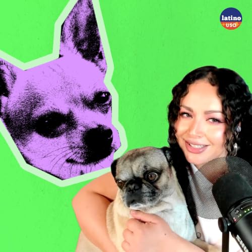 The Meaning of the Magical Chihuahua