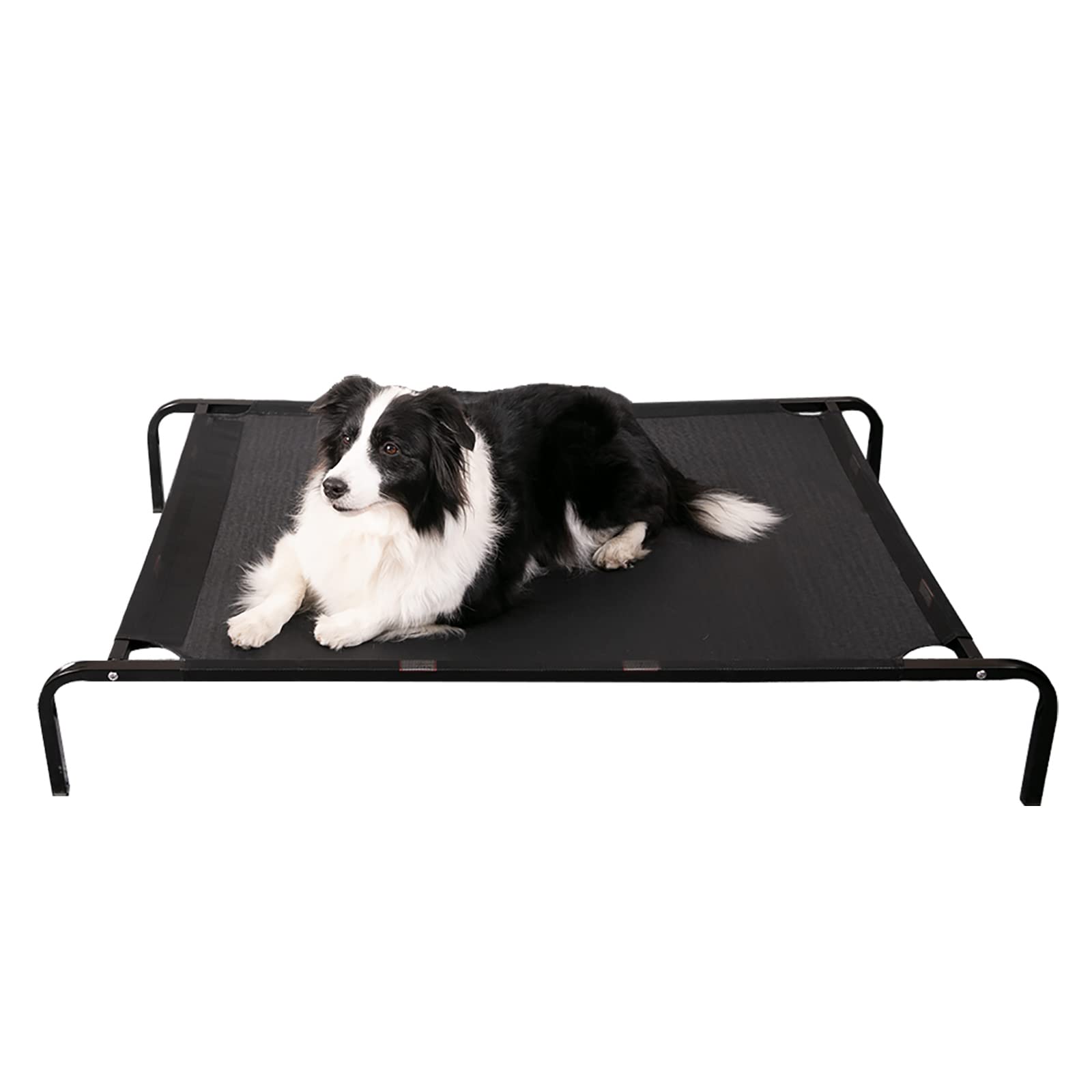 Photo 1 of 35x26 Steel Framed Elevated Dog Bed (Black)