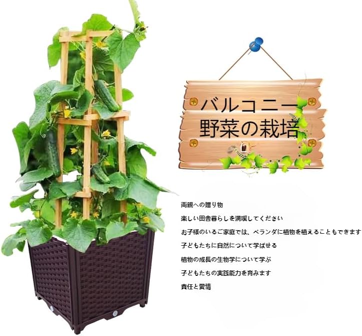 植物棚 シェルフ 6号鉢 受け皿 プランタラック アガペ