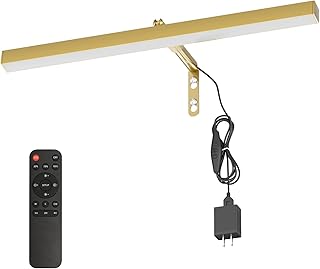 Plug in Picture Lights for Wall, 16 inch Dimmable LED Art Light with Rem...