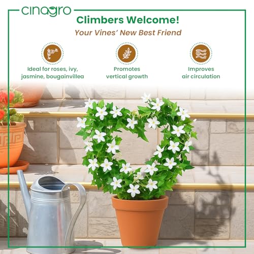 Image of CINAGRO Heart-Shaped Iron Garden Trellis for Climbing Plants, Pack of 2 | Rust-Free, Decorative Vine Support Rack for Balcony Garden & Outdoor Plants