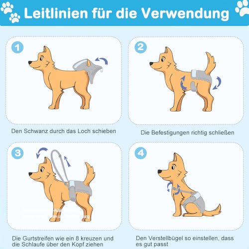 Duscdesp 3 Stück Wiederverwendbare Hundewindeln mit Abnehmbare Träger, Hochsaugfähige Läufigkeitshose Waschbare Hundehöschen Läufigkeit Höschen für Hunde Weiblich, Hunde Windeln für Hündinnen (M)