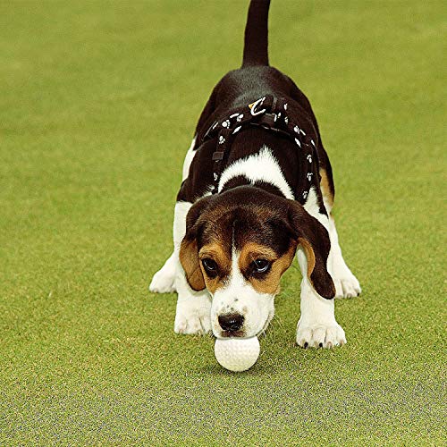Image of 30 Pack Foam Golf Practice Balls - Realistic Feel and Limited Flight Training Balls for Indoor or Outdoor