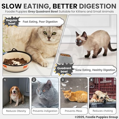 Image of Foodie Puppies Cat Food and Water Feeder - 150ml (Grey Quadrant, Pack of 2) | Durable, Anti Vomiting, Healthy Cat Bowl for Persian Cat Prevent Tipping Over | Elevated Feeder for Cats and Small Dogs
