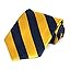 Navy Blue and Golden Yellow