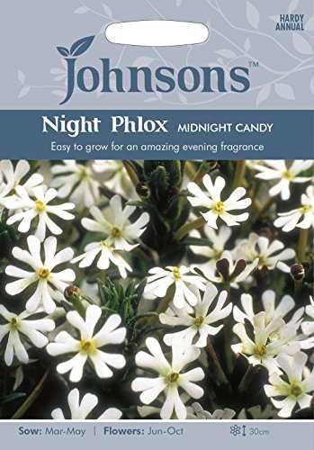 Johnsons 10479 Flower Seeds, Night Phlox Midnight Candy, White
