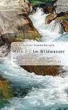 wildwasser  Mein Ich im Wildwasser: Tagebuch einer Traumatherapie