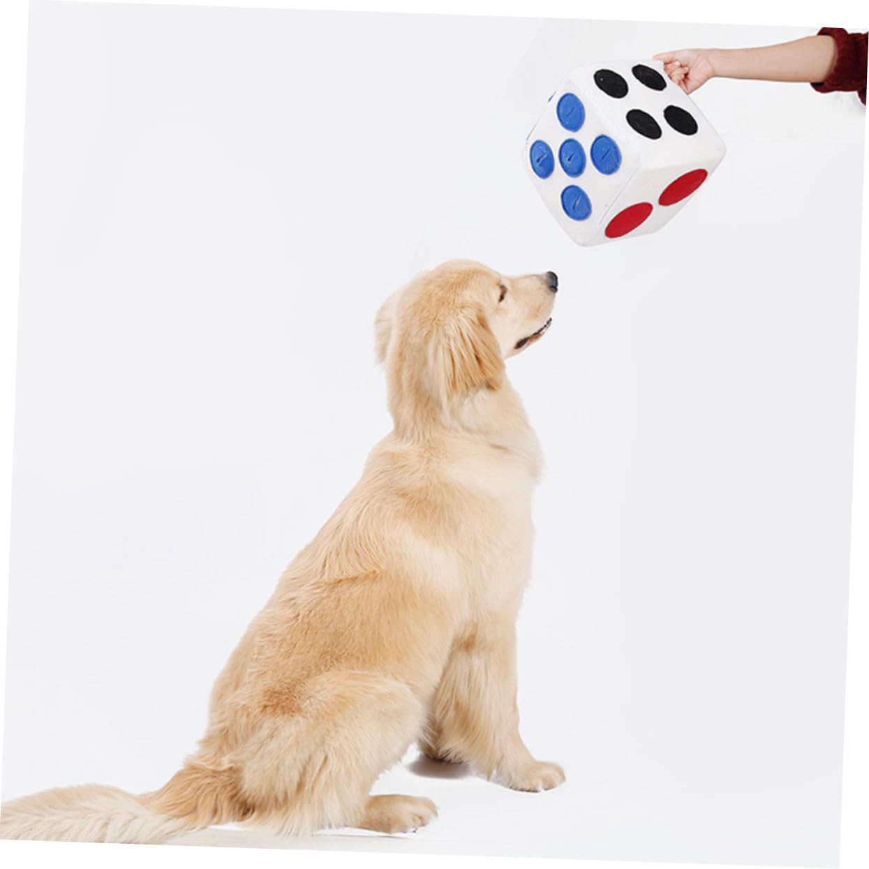 Kisangel Distributeur De Croquettes pour Animaux Forme Dé Jouet Olfactif Peluche Courte Alimentation Lente