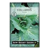 Sow Right Seeds - Vates Collard Greens Seeds for Planting - Non-GMO Heirloom Packet with Instructions to Plant a Home Vegetable Garden - Nutritious and Classic Cooked Southern Greens (1)