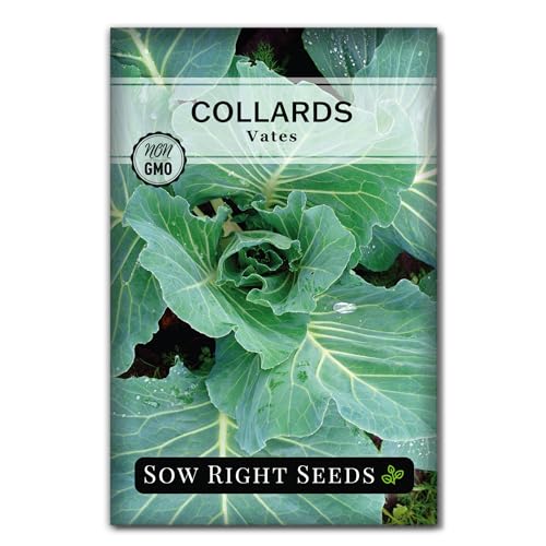Sow Right Seeds - Vates Collard Greens Seeds for Planting - Non-GMO Heirloom Packet with Instructions to Plant a Home Vegetable Garden - Nutritious and Classic Cooked Southern Greens (1)