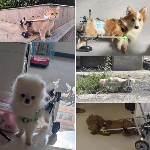 CHZDPP Hunde-Rollstuhl Leichte Hunderäder für Hinterbeine, Hunderollstuhl für gelähmte Hinterbeine, Kleine/mittlere Hunderollstühle für 5 10 15 20 lbs(XXS)