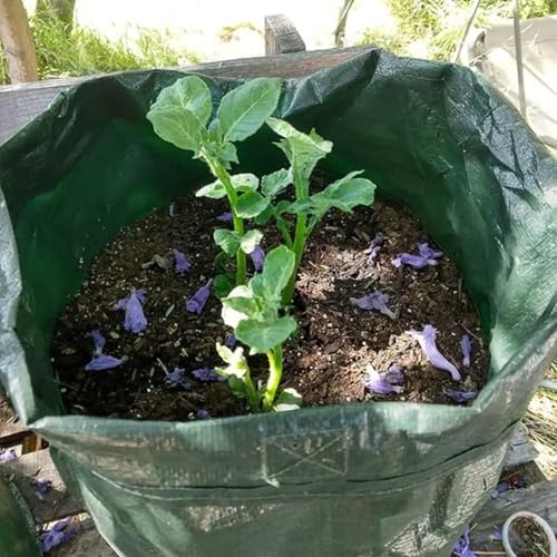 Bolsas para plantas de verduras de 38 litros tejida resistente pack de 3 unidades 8