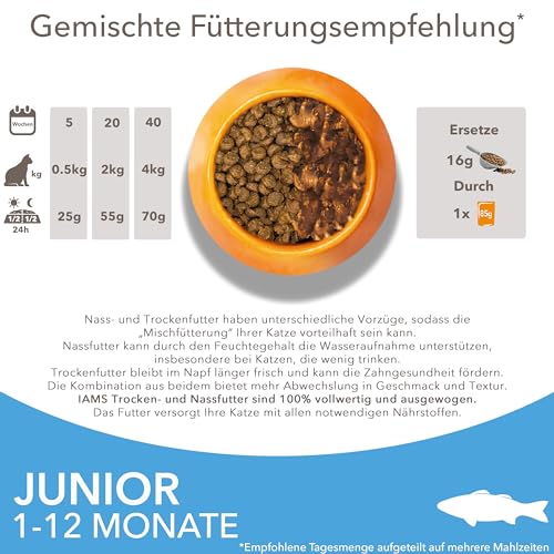 IAMS Junior Katzenfutter trocken mit Fisch - Trockenfutter für Kitten im Alter von 1-12 Monaten, 3 kg