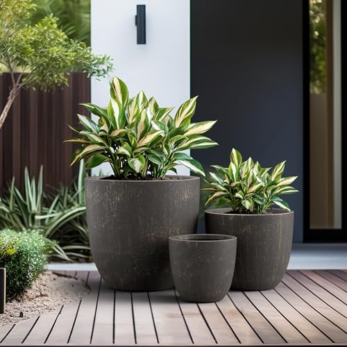 Image of Kante Set of 3 Vintage BRN Concrete Bowl Planters 18 inch 14 inch 10 inch Dia