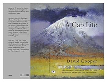 Paperback A Gap Life Book