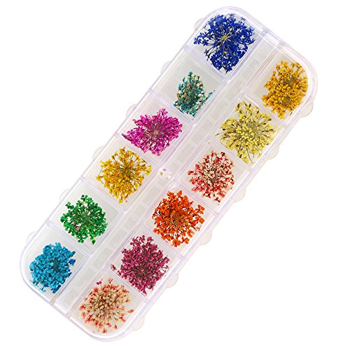 Polytree 12 Colors Real Dry Dried Flowers Nail Art Tips Decoration Stickers
