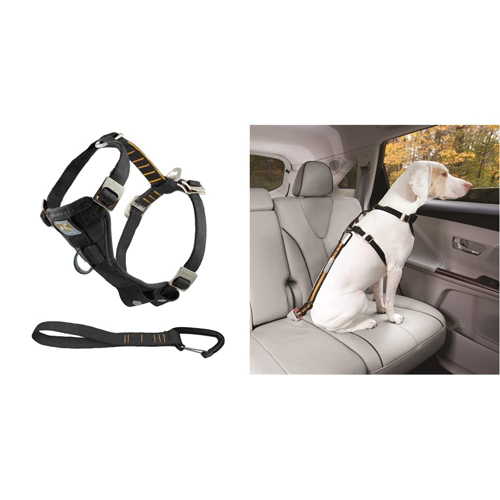 Kurgo TRU-Fit Hundegeschirr, Crash-Test-erprobtes Auto-Sicherheitsgurt, Für Hunde von 23 bis 36 kg, Größe L, Schwarz & Gurtschloss-Hundegurt fürs Auto, Kompatibel mit TRU-Fit Hundegeschirr, Orange