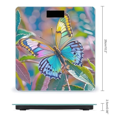Báscula digital de baño con vidrio templado y pantalla LCD miniatura 2