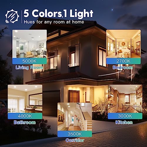 Freelicht 24001 24 Pack 6 Inch 5Cct Ultra-Thin Led Recessed Ceiling Light thumb #2