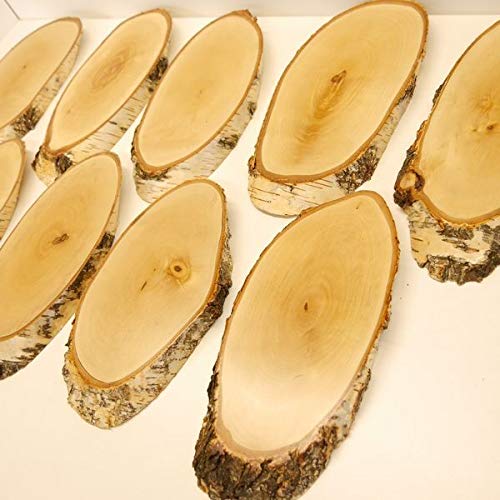GTK - Geweihe & Trophäen KRUMHOLZ 10 Unidades de Abedul Carteles trofeos REH Grande Cervatillo cornamental Disco de árbol Madera Natural Moderno