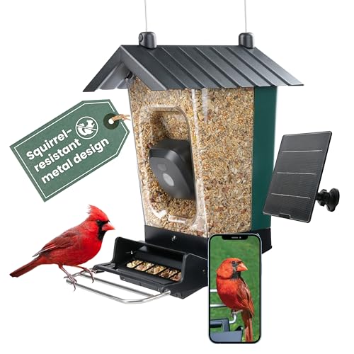 Perky-Pet Solar Powered Smart Bird Feeder with Camera - Squirrel-Resistant, 3.2L Capacity, Motion Activated 1080p HD WiFi Live Stream Camera, SPCAM, SPCAMSLR - Camera Feeder Gift Idea, Forest Green